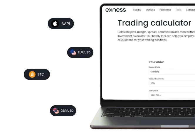 Key Components of the Exness Forex Calculator