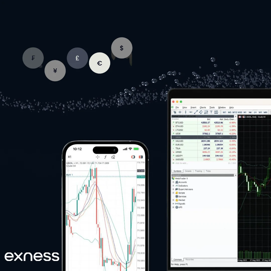Exness Forex Trading Platform